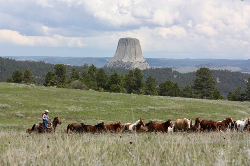 vacances ranch cheval Wyoming