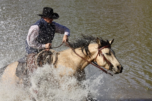 horseback riding vacation wyoming usa