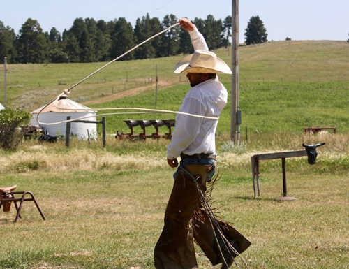 horse riding cattle work in a ranch usa