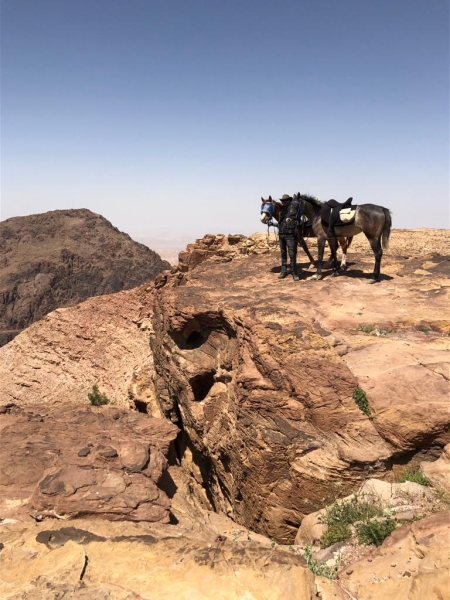 Randonnée à cheval en Jordanie