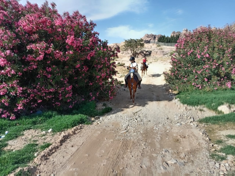 Randonnée à cheval en Jordanie