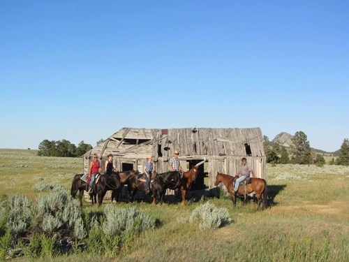 rando Usa à cheval