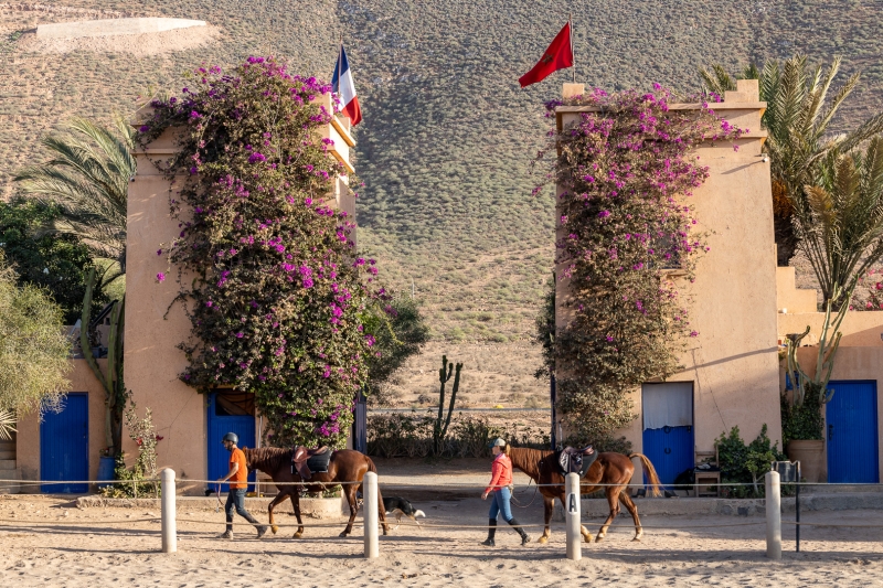 horse riding holiday morocco