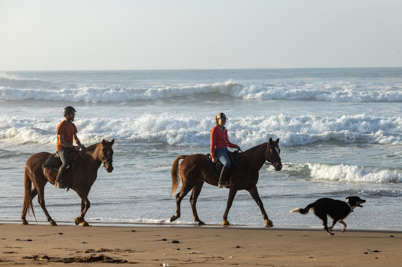 horse riding vacation morocco