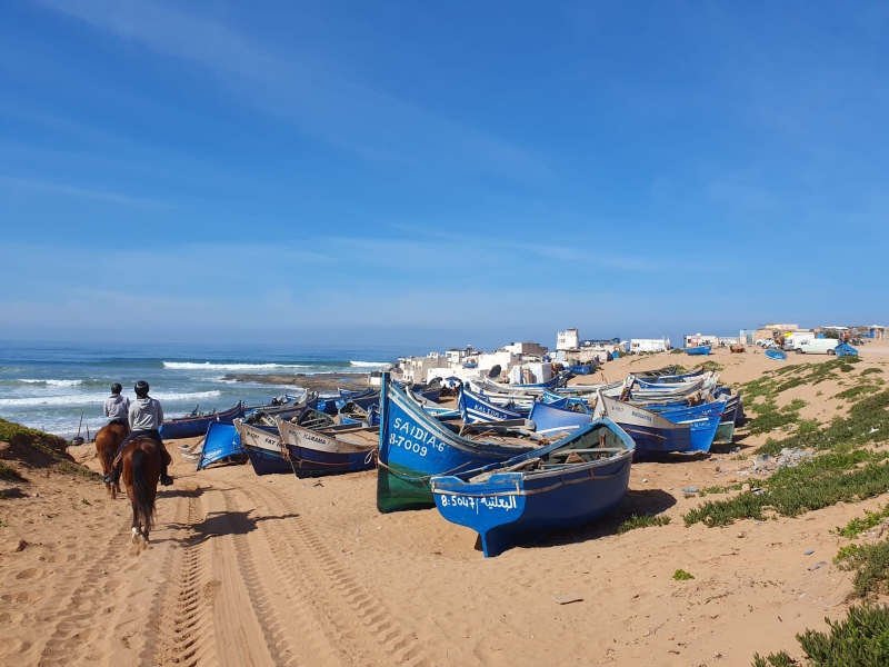 horseback riding  in morocco