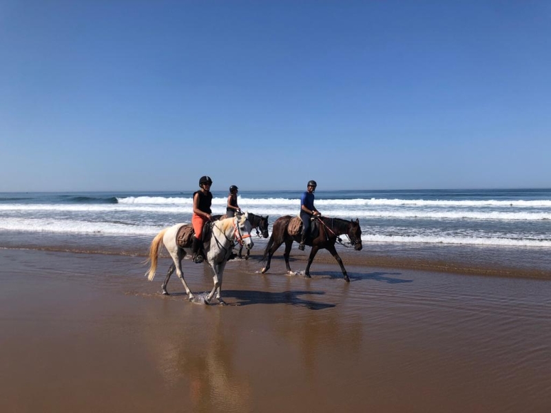 Morocco horse riding holiday
