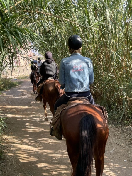 Morocco horse riding