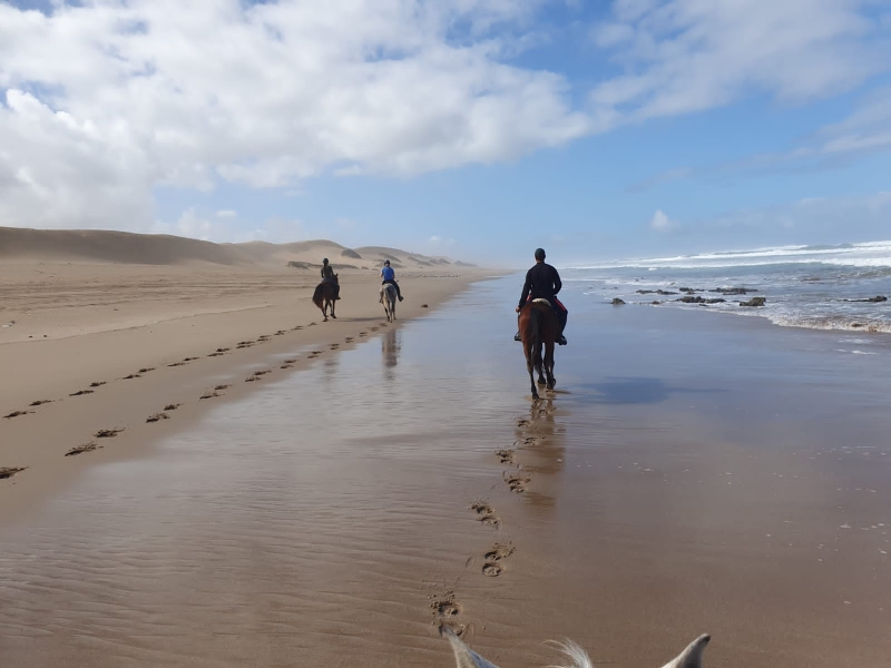 Morocco horse riding vacation