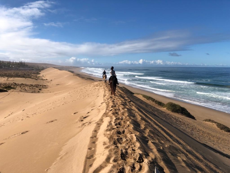 Morocco horseback trail riding