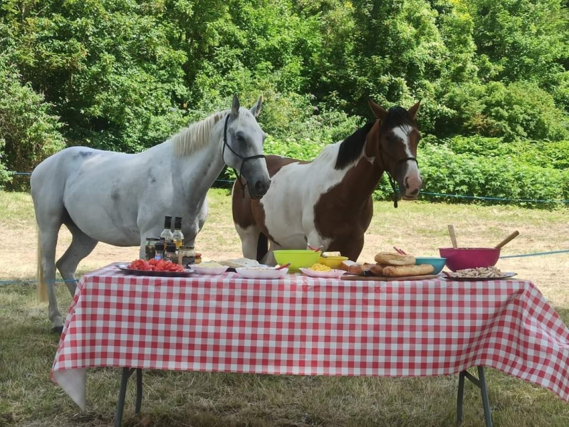 horse riding trip in champagne