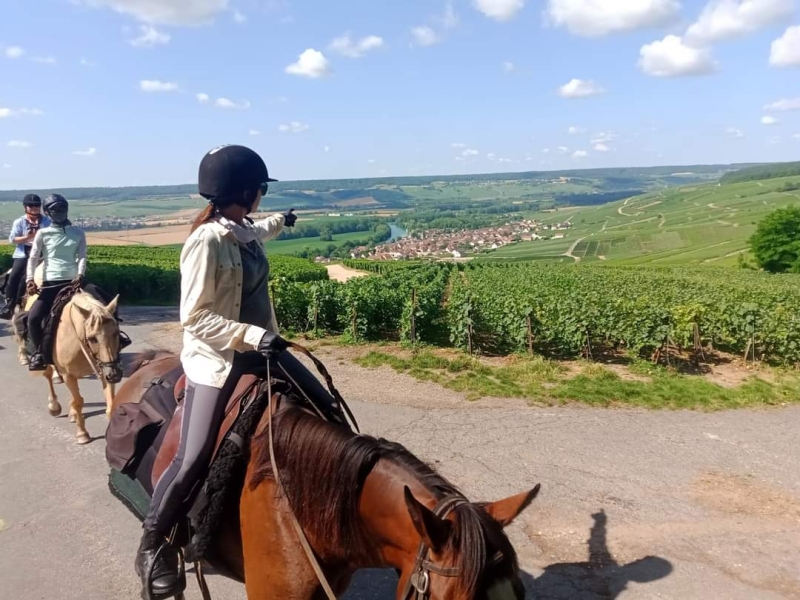 horse riding trip in champain