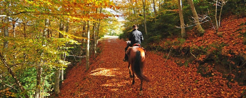 horseback trail ride spain