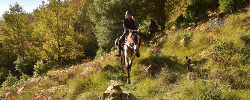horse riding holiday spain