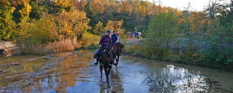 horseback trip spain