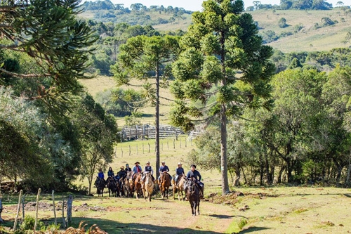 Equestrian trail ride in Brazil