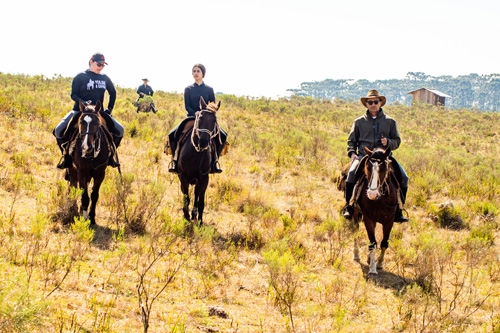 Brazil equestrian holiday