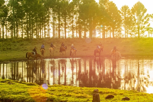 Equestrian vacation in Brazil