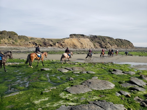 rando equestre argentine