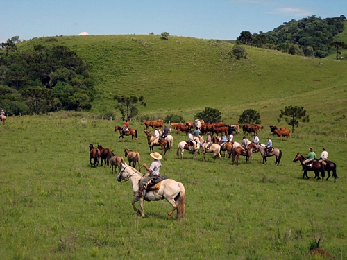 Horse riding in Brazil