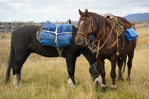 randonnee a cheval en argentine