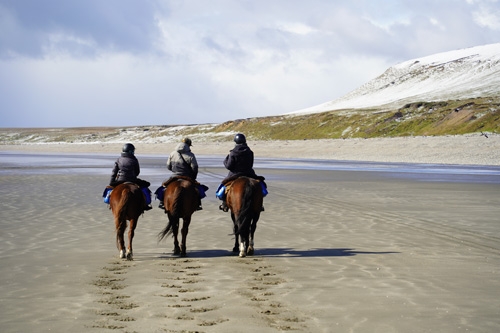 randonnee equestre en argentine