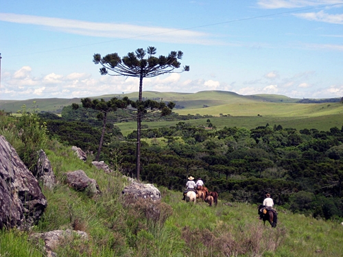 Horseback riding Brazil