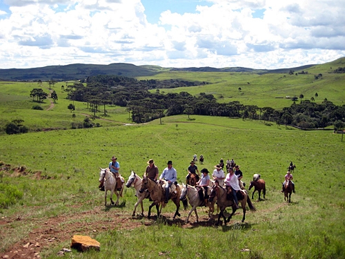 Horse ride Brazil