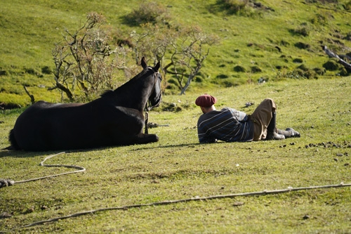 Argentina Patagonia