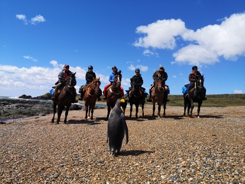 Patagonia Argentina horse riding