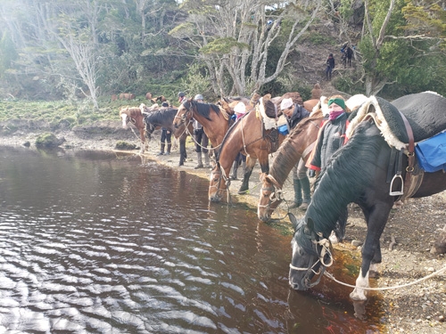 Patagonia Andes horse riding