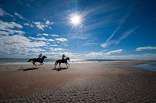 Horse riding in Brazil