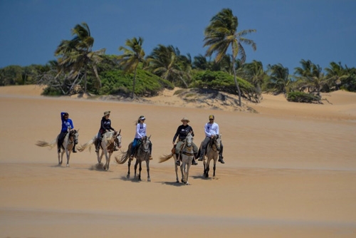 Horse riding in Brazil