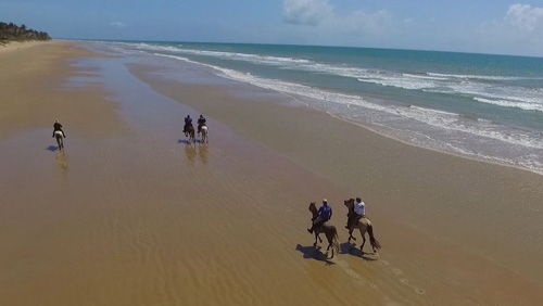 Equestrian trail ride in Brazil