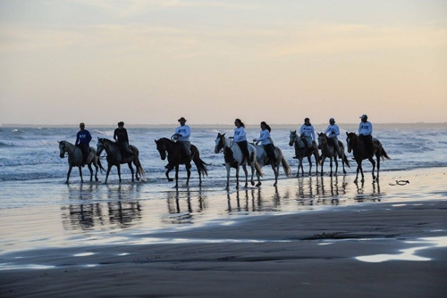 Brazil equestrian holiday