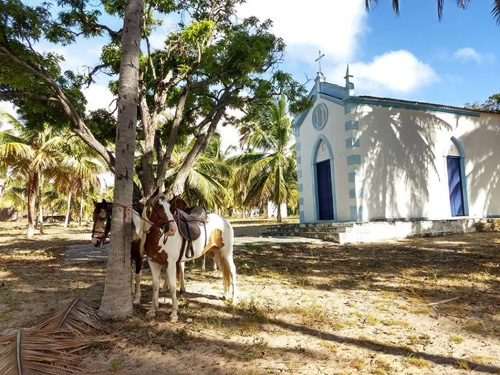 Equestrian vacation in Brazil