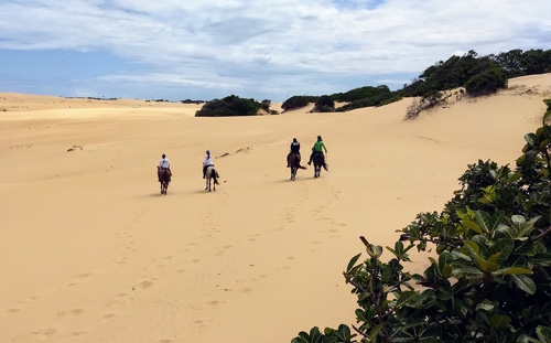 Horse riding trail ride in Brazil