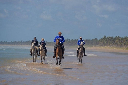 Brazil horse riding holiday