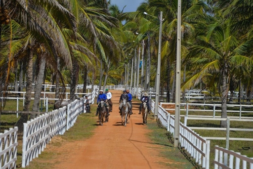 Brazil on horseback