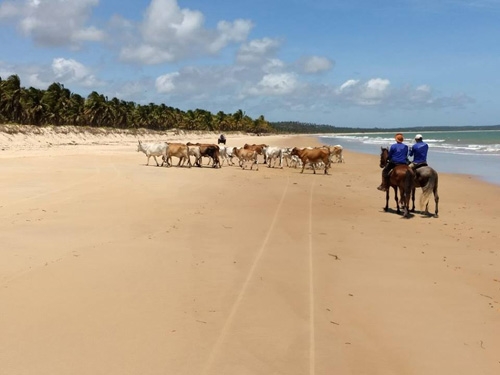Horse riding vacation in Brazil