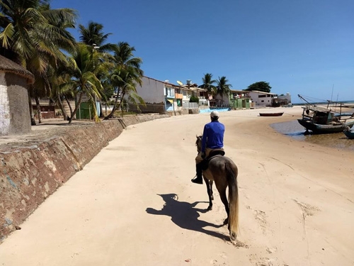 Horseback riding Brazil