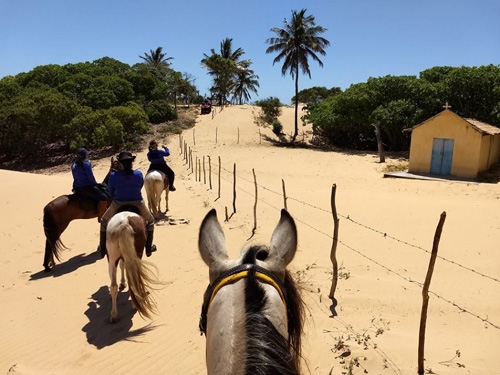 Horse ride Brazil