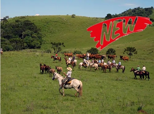 Horse riding in Brazil