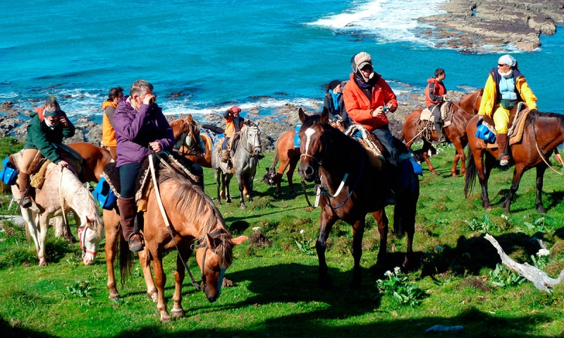 horse trail ride in Patagonia