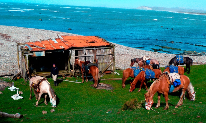 Patagonia horse riding