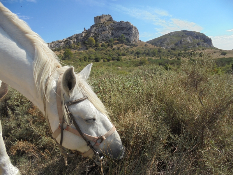 a cheval en provence