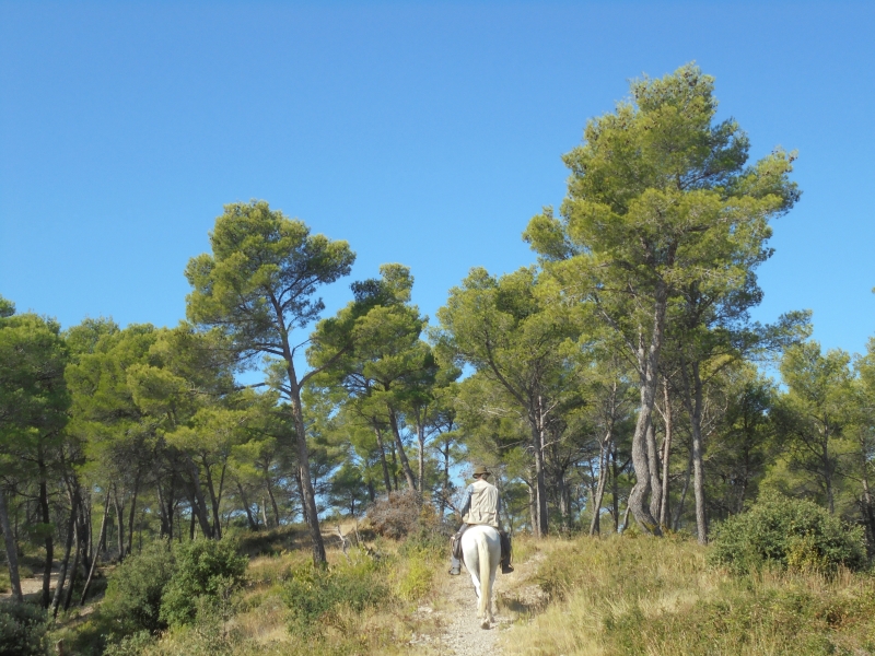 randonnee a cheval provence