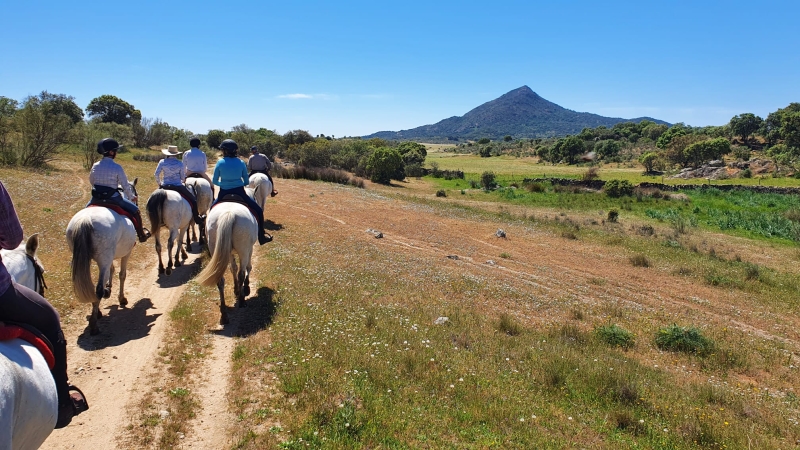 Horseback Trail Ride in SPAIN : THE SIERRA DE GREDOS & CASTLES