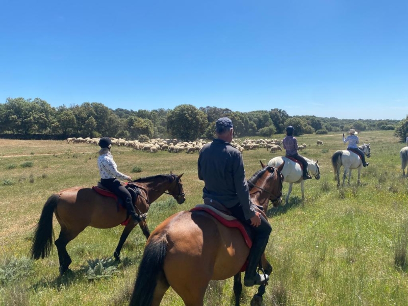 Horseback Trail Ride in SPAIN : THE SIERRA DE GREDOS & CASTLES