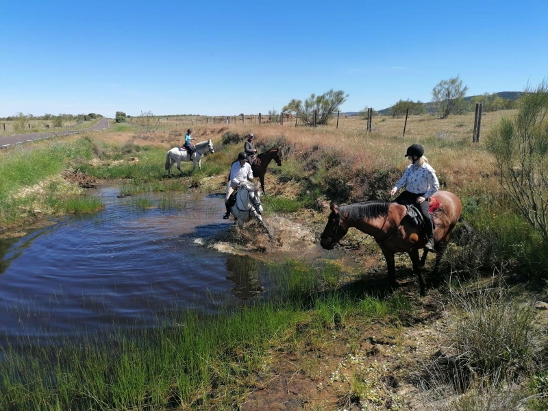 A cheval en Espagne