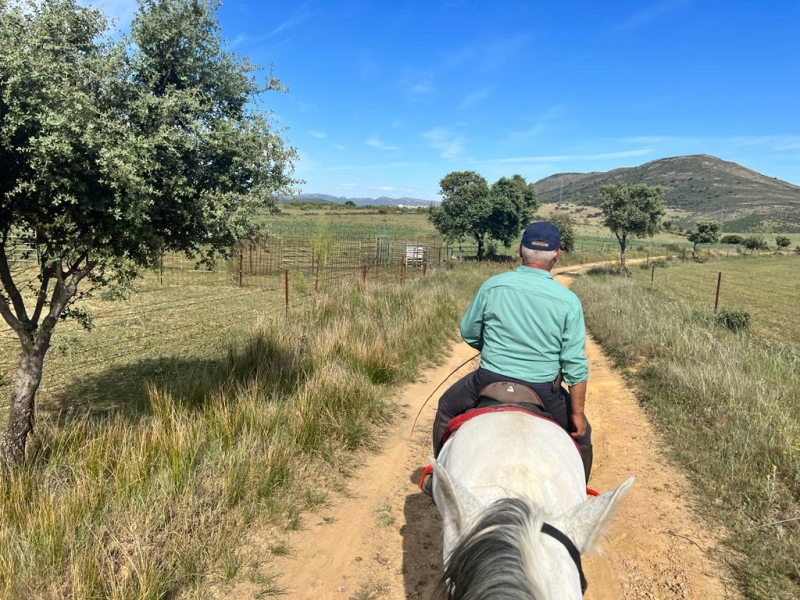 Trek à cheval en Espagne